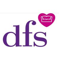 DFS Lincoln image 1